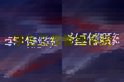 学生工作管理系统