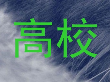 高校