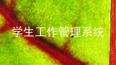 学生工作管理系统