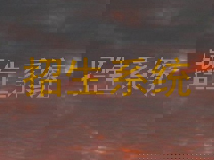 招生系统