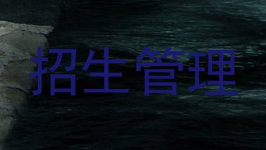 招生管理