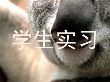 学生实习