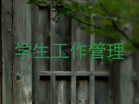 学生工作管理