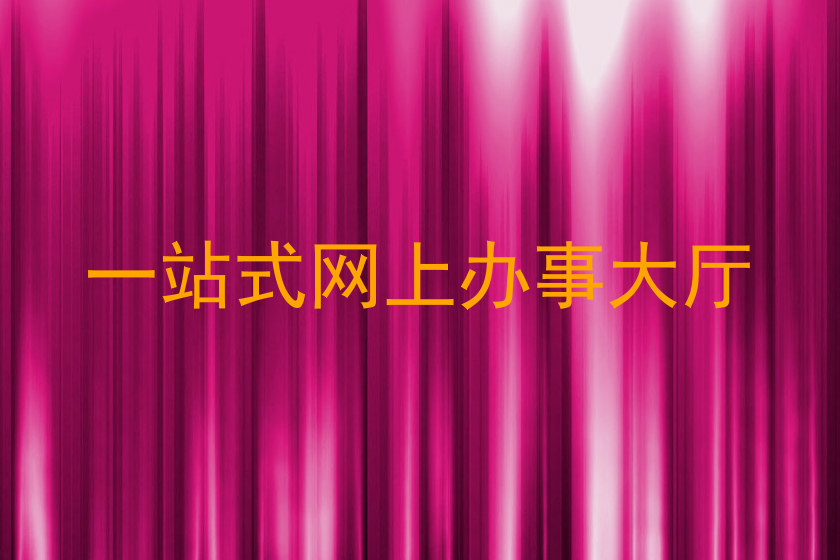 一站式网上办事大厅