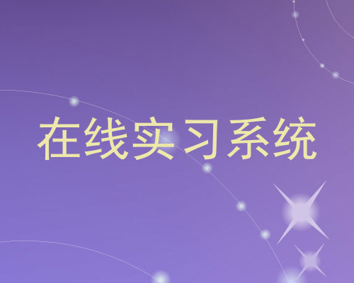 在线实习系统