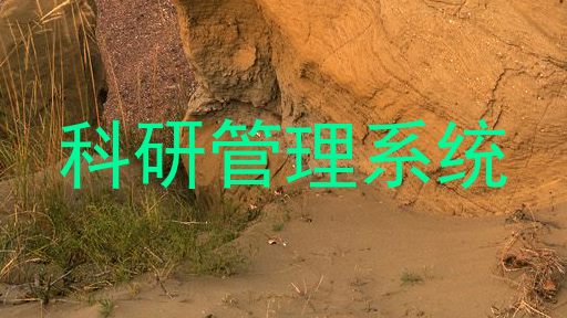 科研管理系统