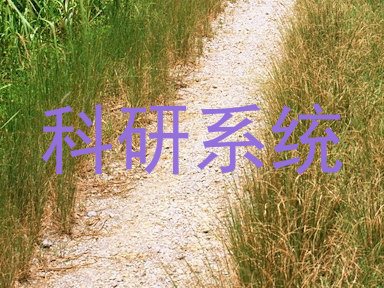 科研系统