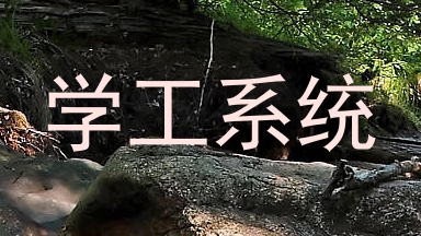 学工系统