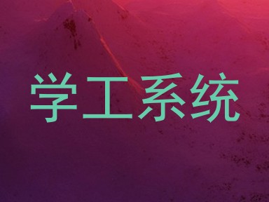 学工系统
