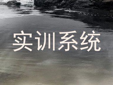 实训系统