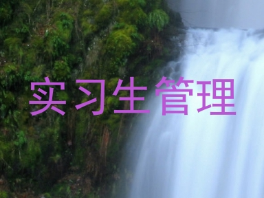 实习生管理