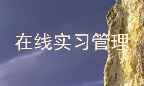 在线实习管理