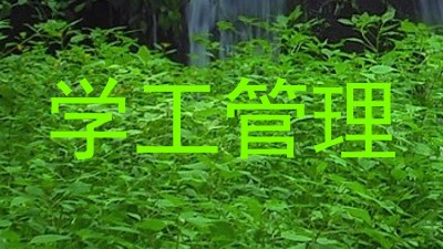 学工管理