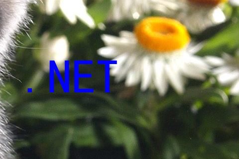 .NET
