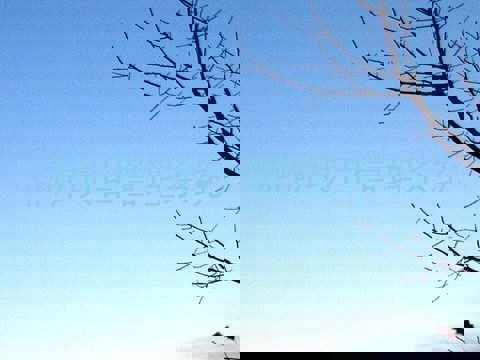 科研项目管理系统