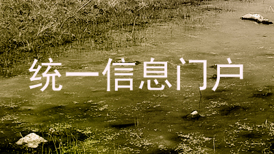 统一信息门户