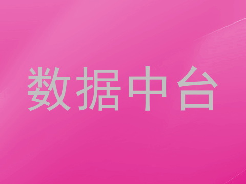数据中台