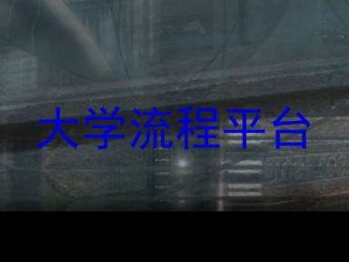 大学流程平台