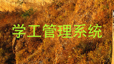 学工管理系统