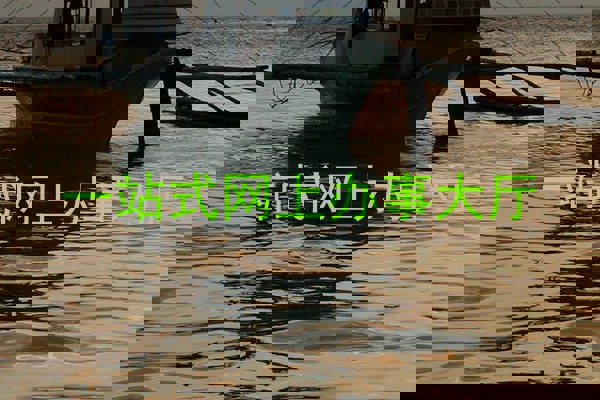 一站式网上办事大厅