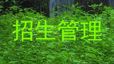 招生管理