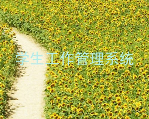 学生工作管理系统