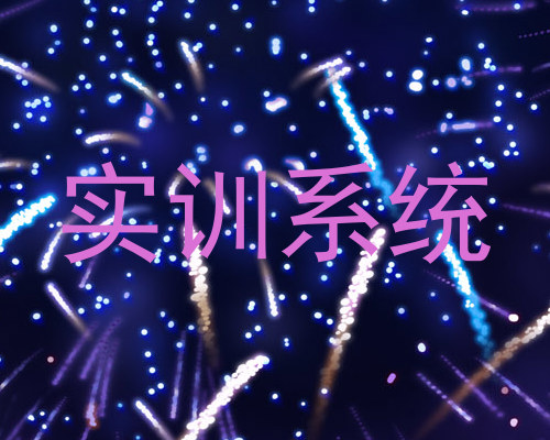 实训系统