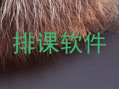 排课软件