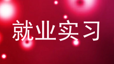 就业实习