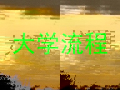 大学流程