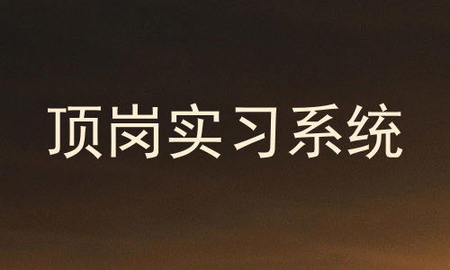 顶岗实习系统