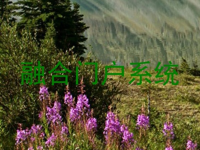 融合门户系统