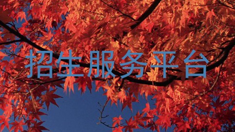 招生服务平台