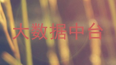 大数据中台