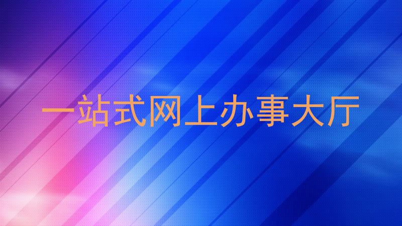 一站式网上办事大厅