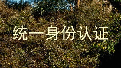统一身份认证