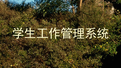 学生工作管理系统