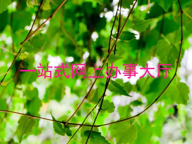 一站式网上办事大厅