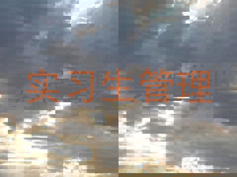 实习生管理