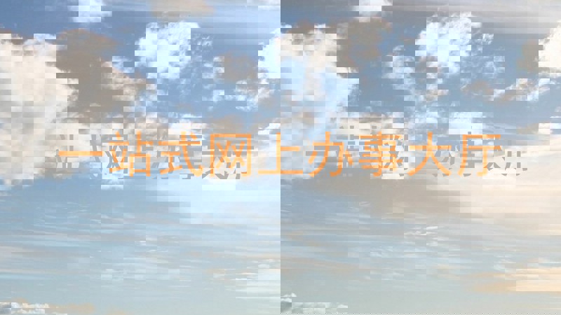 一站式网上办事大厅