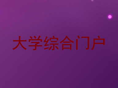 大学综合门户