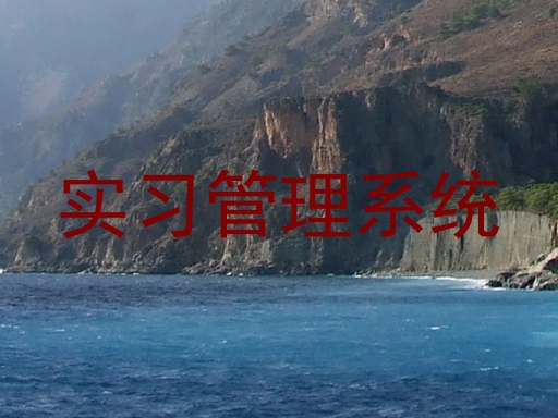 实习管理系统
