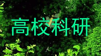高校科研