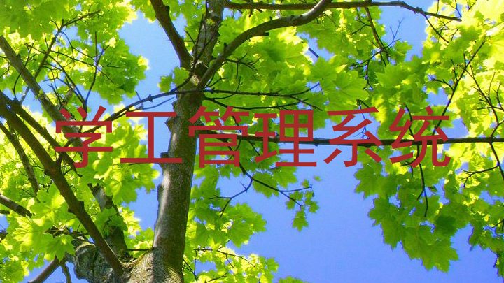 学工管理系统