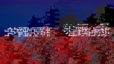 学生管理信息系统