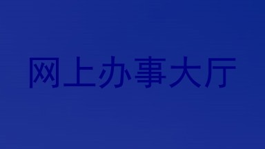 网上办事大厅