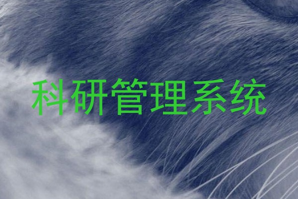 科研管理系统