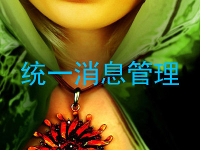 统一消息管理