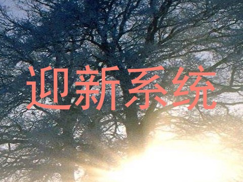 迎新系统