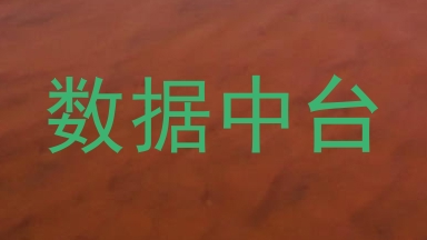 数据中台